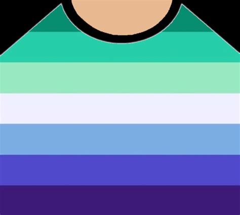 im gay t shirt roblox